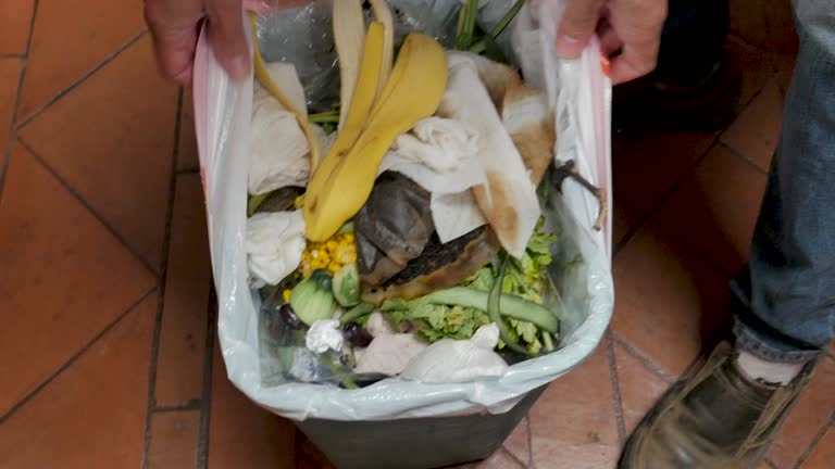 Best Commercial Junk Removal  in Reed City, MI
