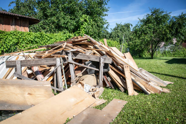 Best Recycling Services for Junk  in Reed City, MI